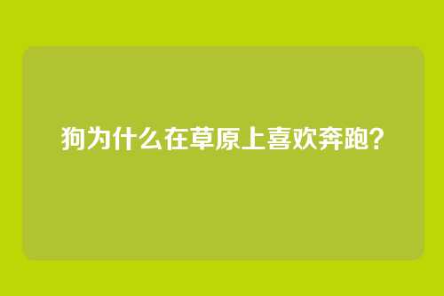 狗为什么在草原上喜欢奔跑？