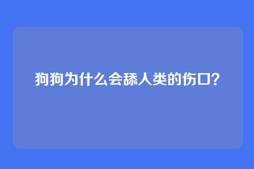 狗狗为什么会舔人类的伤口？