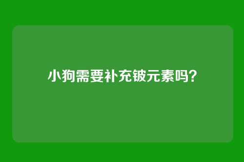 小狗需要补充铍元素吗?