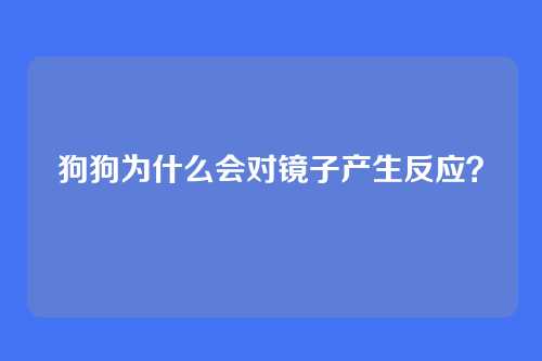 狗狗为什么会对镜子产生反应？