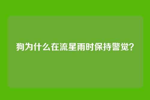 狗为什么在流星雨时保持警觉?