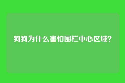 狗狗为什么害怕围栏中心区域？