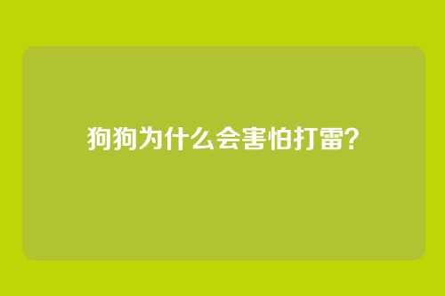 狗狗为什么会害怕打雷？