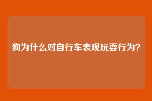 狗为什么对自行车表现玩耍行为？