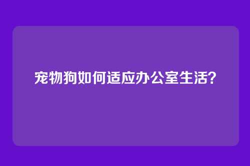 宠物狗如何适应办公室生活？
