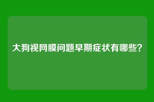 大狗视网膜问题早期症状有哪些？