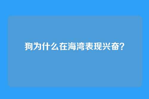 狗为什么在海湾表现兴奋?