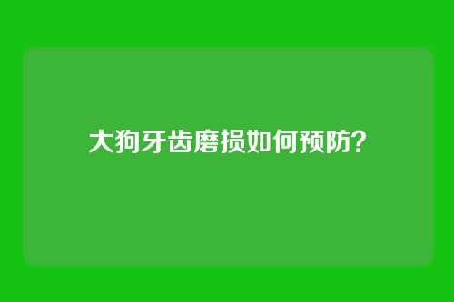 大狗牙齿磨损如何预防？