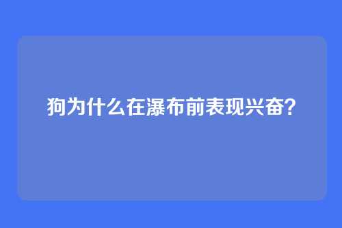 狗为什么在瀑布前表现兴奋？