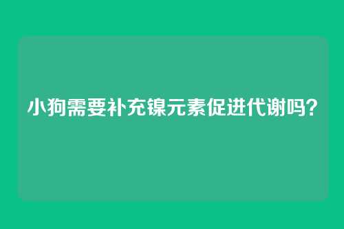 小狗需要补充镍元素促进代谢吗？
