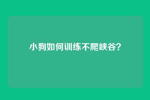 小狗如何训练不爬峡谷？