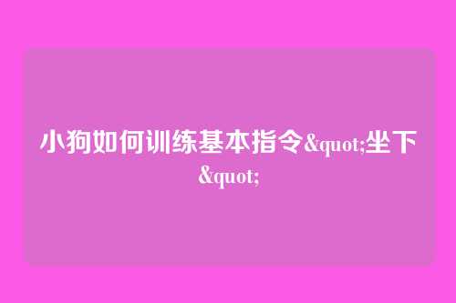 小狗如何训练基本指令"坐下"