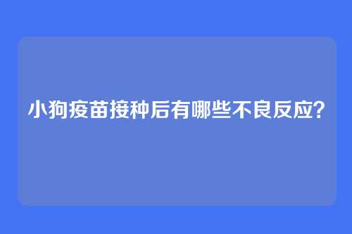 小狗疫苗接种后有哪些不良反应？