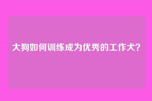 大狗如何训练成为优秀的工作犬？