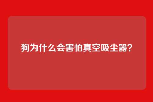 狗为什么会害怕真空吸尘器？