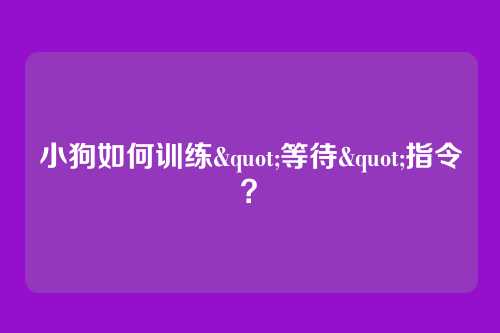 小狗如何训练"等待"指令？