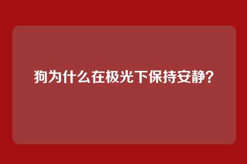 狗为什么在极光下保持安静?