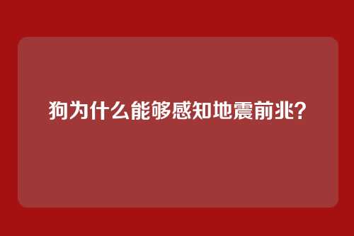狗为什么能够感知地震前兆？