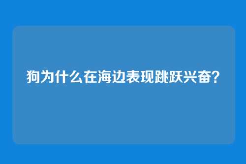 狗为什么在海边表现跳跃兴奋？