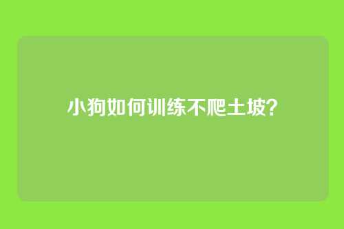小狗如何训练不爬土坡？