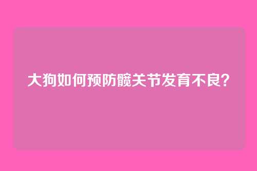 大狗如何预防髋关节发育不良？