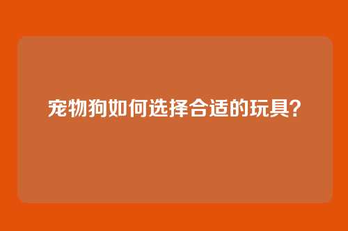 宠物狗如何选择合适的玩具？