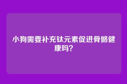 小狗需要补充钛元素促进骨骼健康吗？