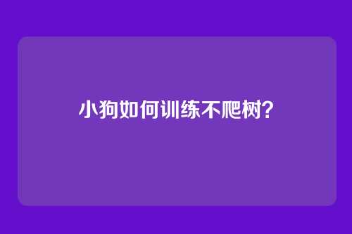 小狗如何训练不爬树?