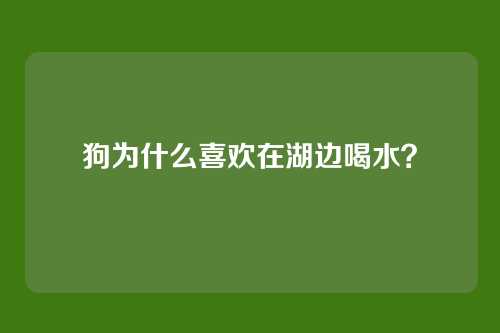 狗为什么喜欢在湖边喝水？