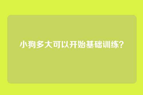 小狗多大可以开始基础训练?