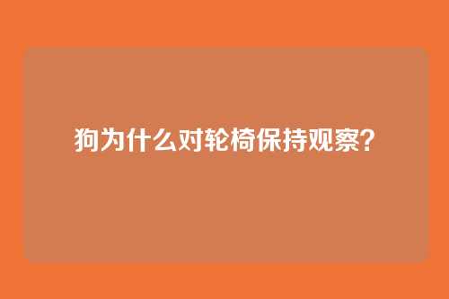 狗为什么对轮椅保持观察？