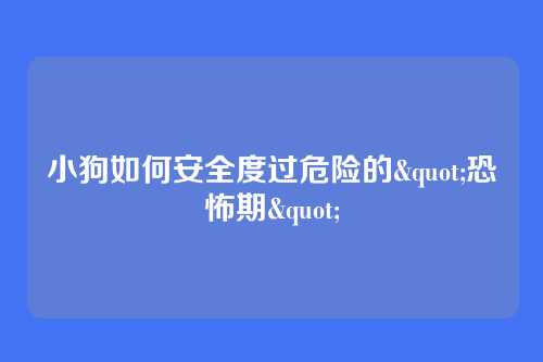 小狗如何安全度过危险的"恐怖期"