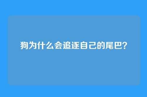 狗为什么会追逐自己的尾巴？