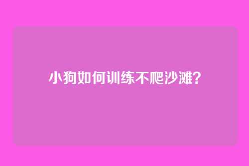 小狗如何训练不爬沙滩？