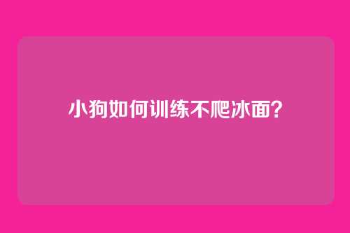 小狗如何训练不爬冰面?