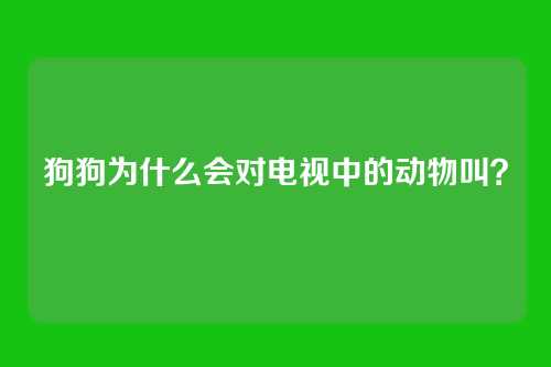 狗狗为什么会对电视中的动物叫？