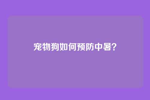 宠物狗如何预防中暑?