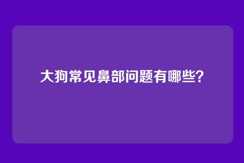 大狗常见鼻部问题有哪些?