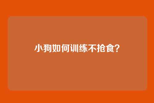 小狗如何训练不抢食？