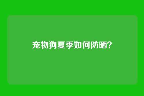 宠物狗夏季如何防晒?