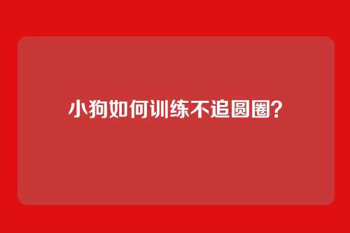 小狗如何训练不追圆圈?