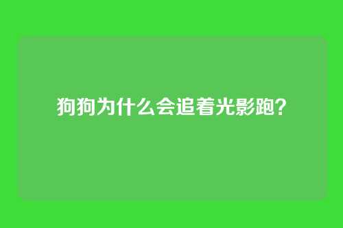 狗狗为什么会追着光影跑？