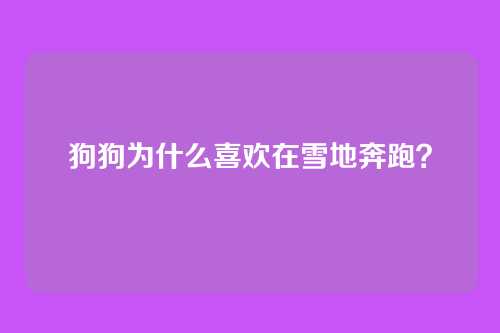 狗狗为什么喜欢在雪地奔跑？
