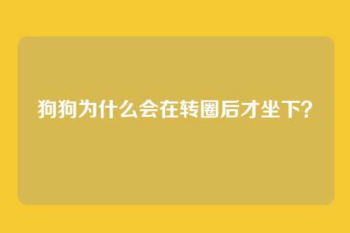 狗狗为什么会在转圈后才坐下?