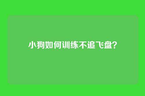 小狗如何训练不追飞盘？