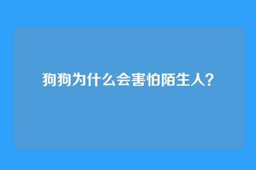 狗狗为什么会害怕陌生人？