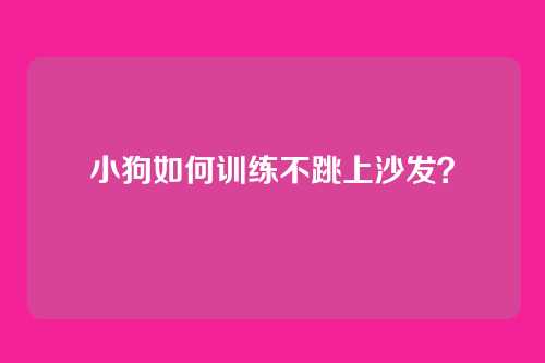 小狗如何训练不跳上沙发？