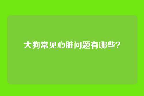 大狗常见心脏问题有哪些?