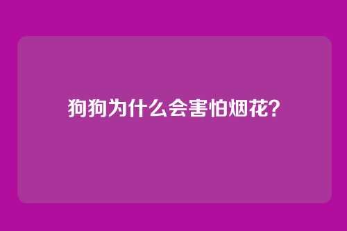 狗狗为什么会害怕烟花?