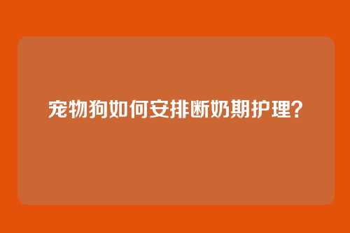 宠物狗如何安排断奶期护理？